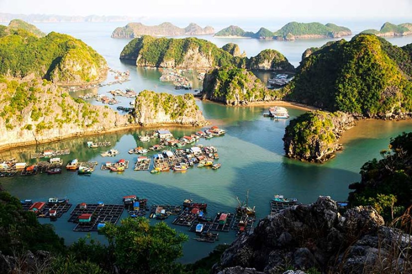 Cai Beo Floating Village: Exhaustive Travel Guide For Your Journey Cai Beo Floating Village: Exhaustive Travel Guide For Your Journey